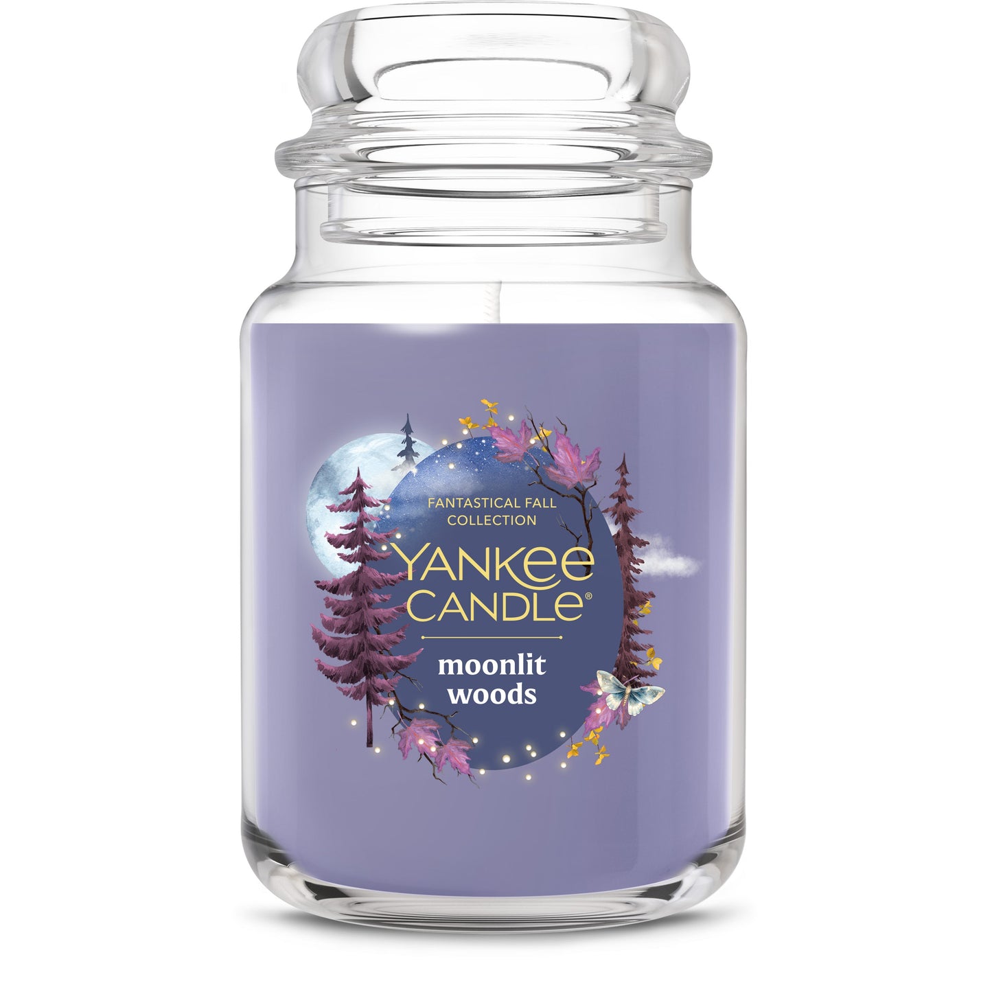 Moonlit Woods Daily 3-0345