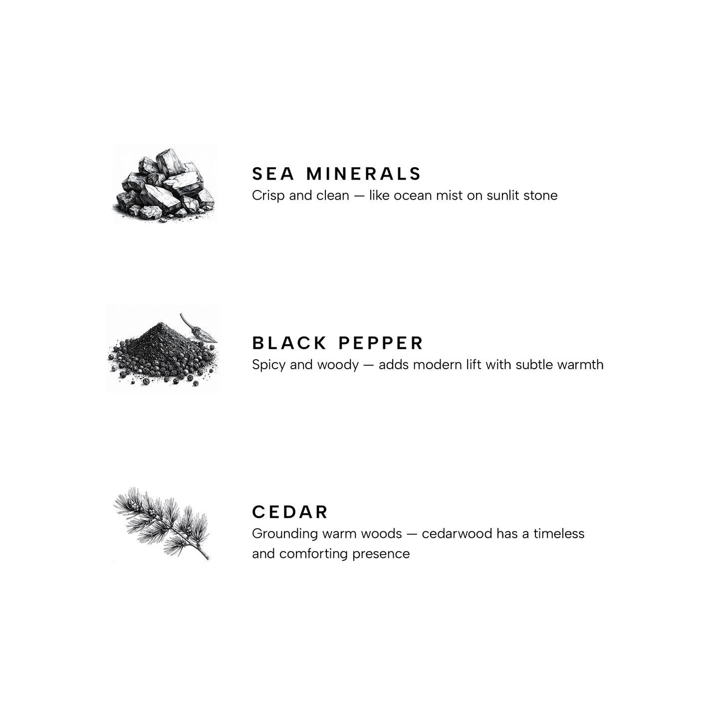 Marine Premium Reed Diffuser